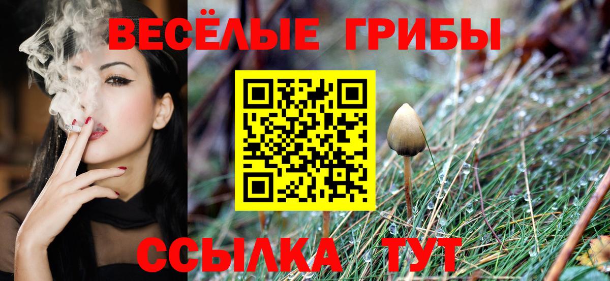 ТГК  АМФ кристаллы  ГАШИШ  Жуковский  Вход с VPN  Бошки Шишки  ГАШИШ  Меф кристаллы 
